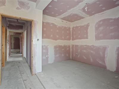 Picture 24